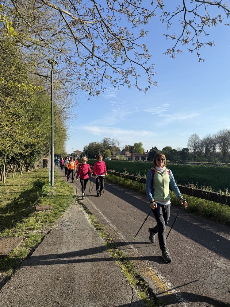 Camminata di gruppo lungo una pista ciclabile alberata