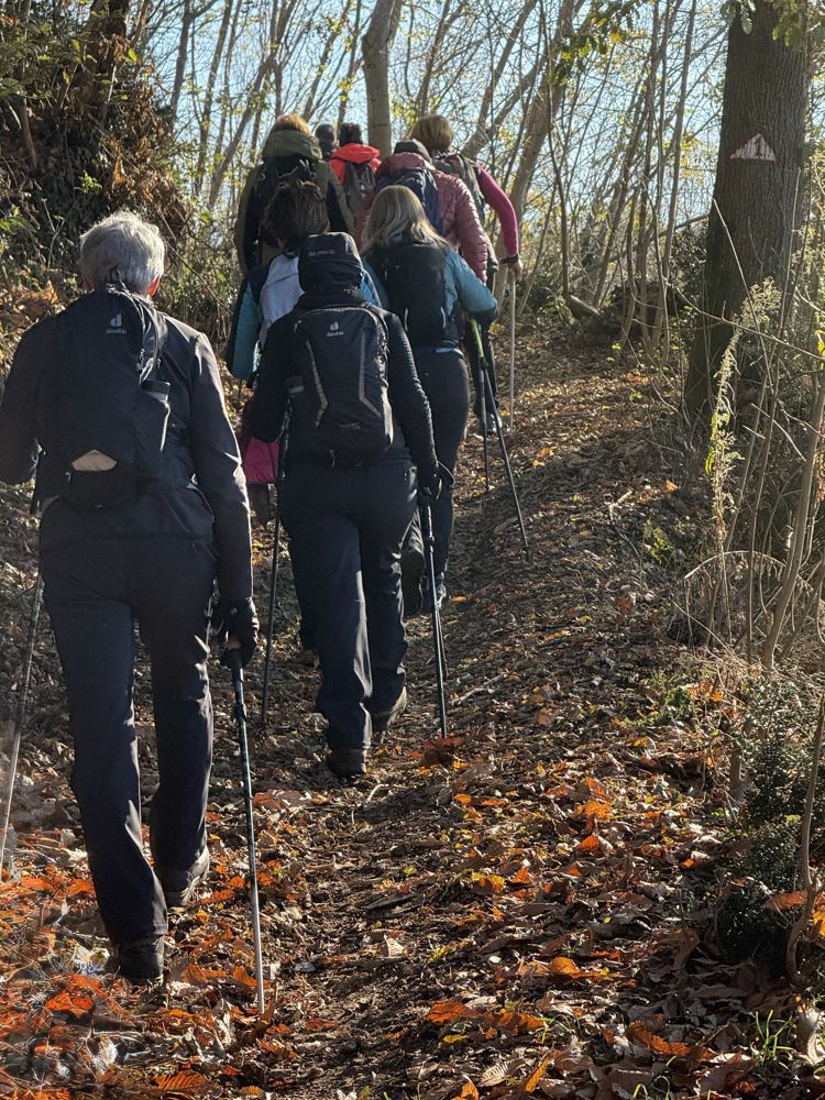 Camminata di gruppo lungo un sentiero in un bosco d'autunno